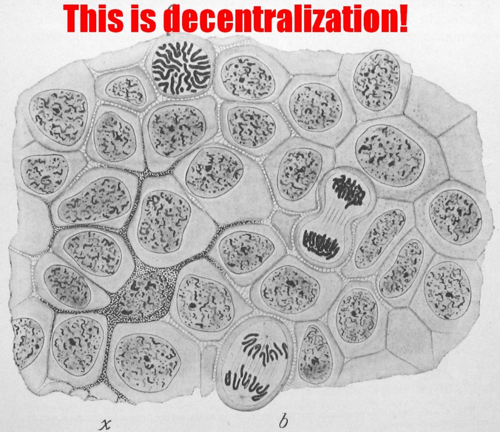 body cells as an analogy for decentralization and distribution in blockchain consensus